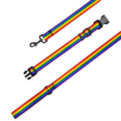 Rainbow Pride Flag Pet collar & leash