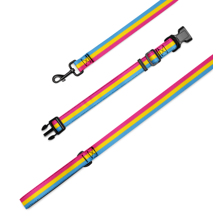 Pan Pride Flag Pet collar & leash