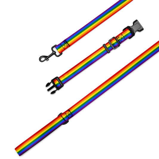 Rainbow Pride Flag Pet collar & leash