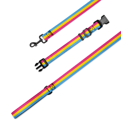 Pan Pride Flag Pet collar & leash