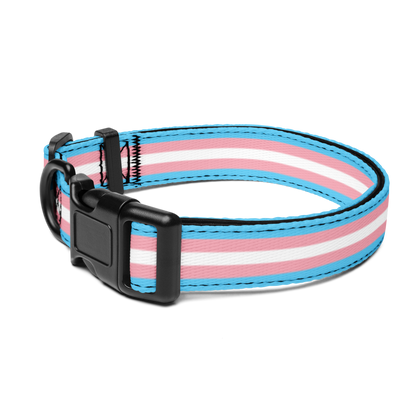 Trans Pride Flag Pet collar