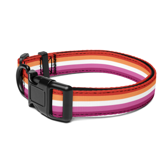 Lesbian Pride Flag Pet collar