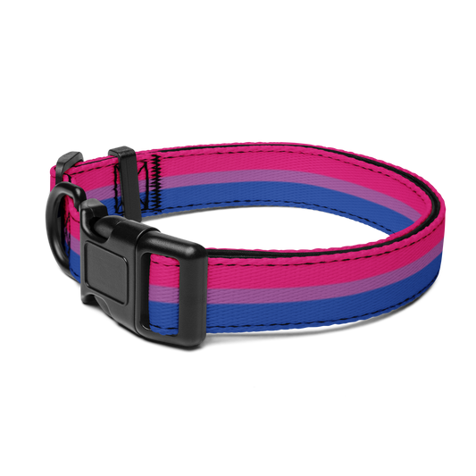 Bi Pride Flag Pet collar