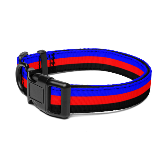 Poly Pride Flag Pet collar