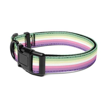 Genderfae Pride Flag Pet collar