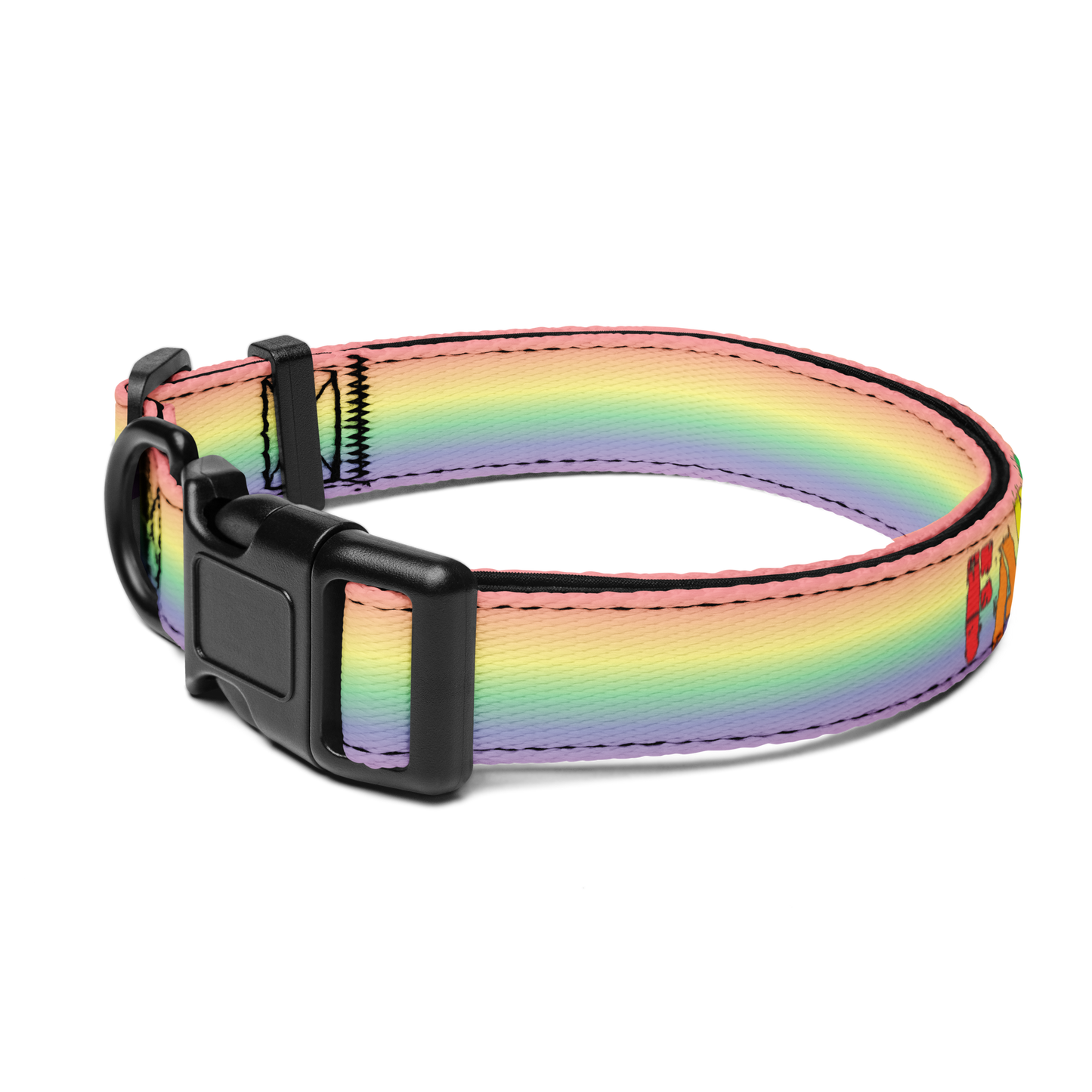 Faggot Pet collar