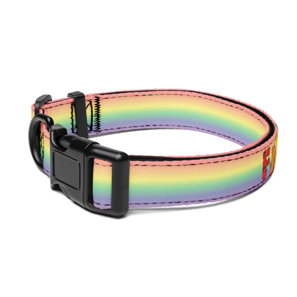 Faggot Pet collar & leash