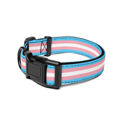 Trans Pride Flag Pet collar