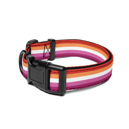 Lesbian Pride Flag Pet collar