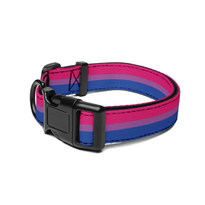 Bi Pride Flag Pet collar