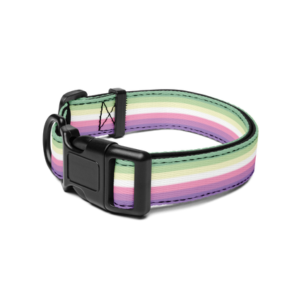 Genderfae Pride Flag Pet collar