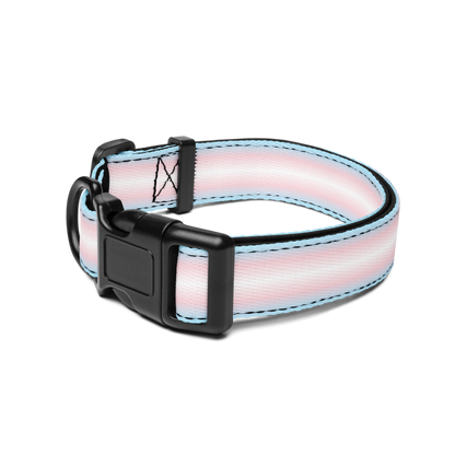 Tranny Pet collar