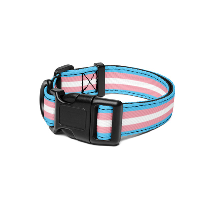 Trans Pride Flag Pet collar