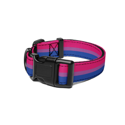 Bi Pride Flag Pet collar