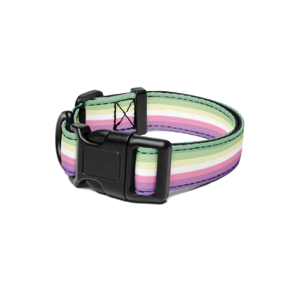 Genderfae Pride Flag Pet collar