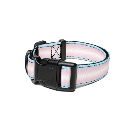 Tranny Pet collar