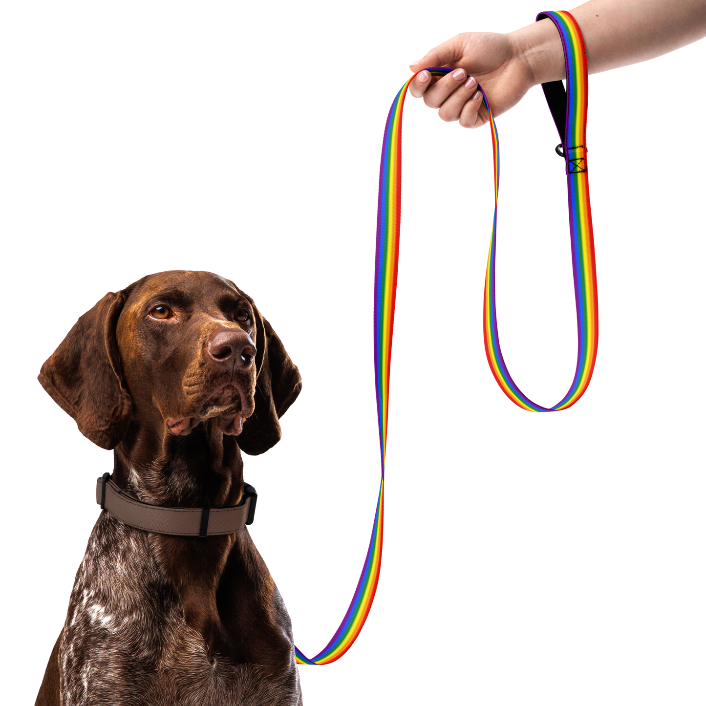 Rainbow Pride Flag Pet leash