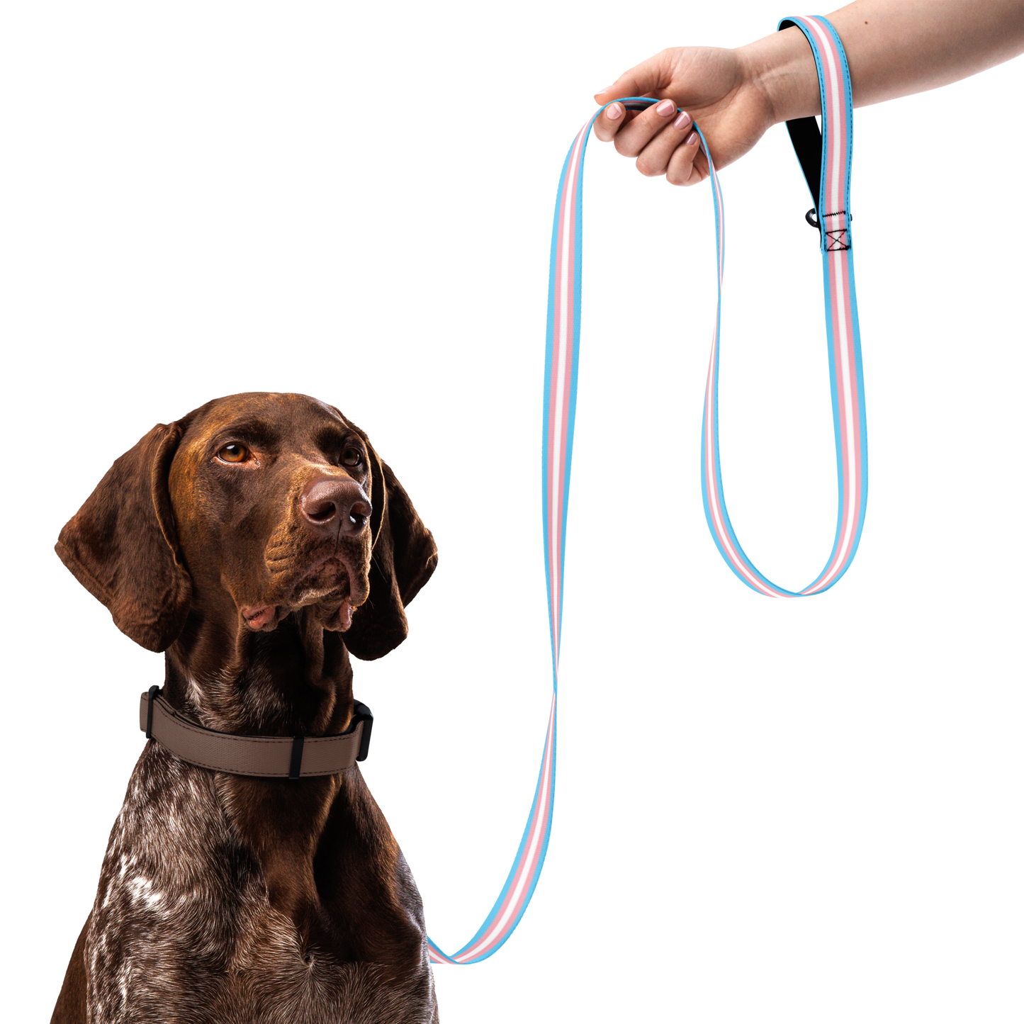 Trans Pride Flag Pet leash