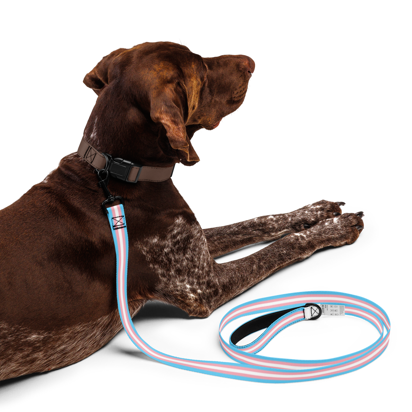 Trans Pride Flag Pet leash