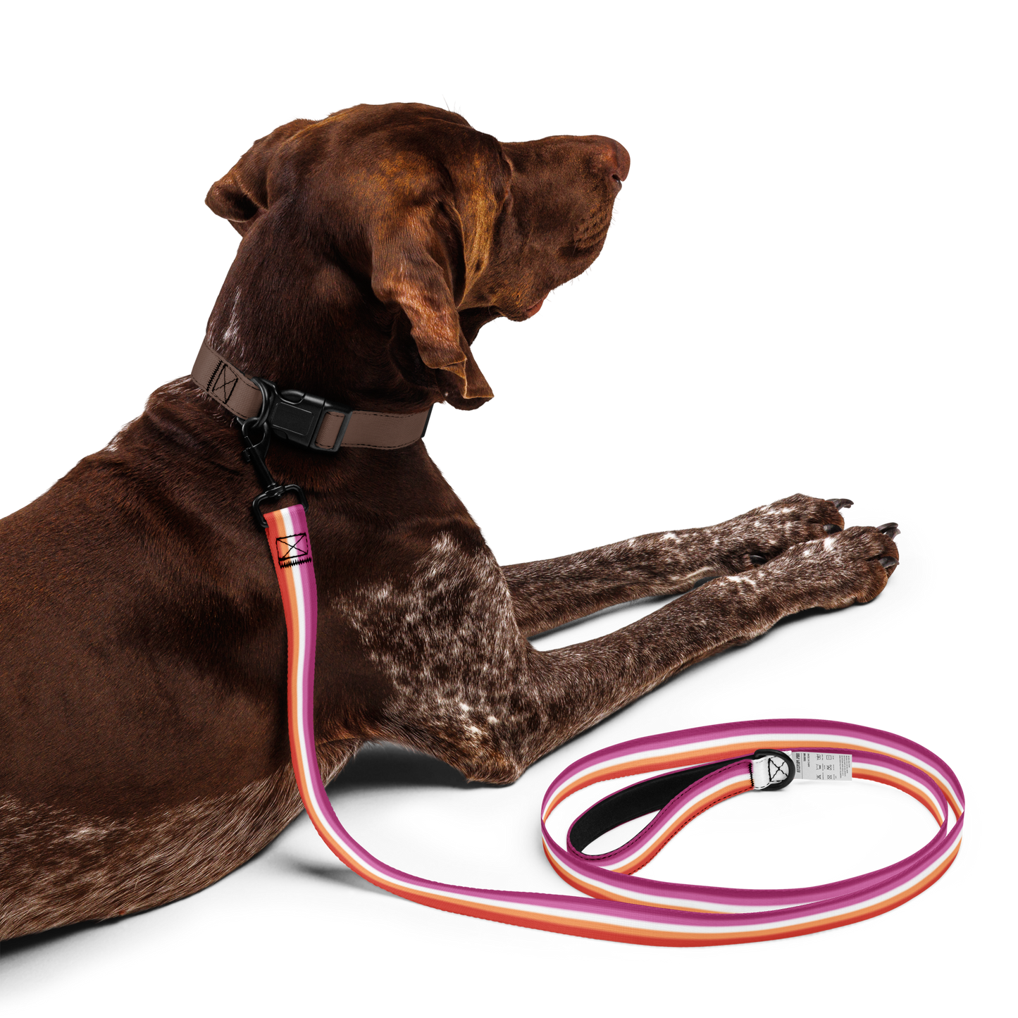 Lesbian Pride Flag Pet leash