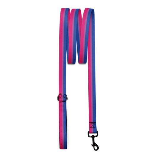 Bi Pride Flag Pet leash