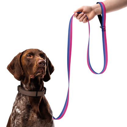 Bi Pride Flag Pet leash