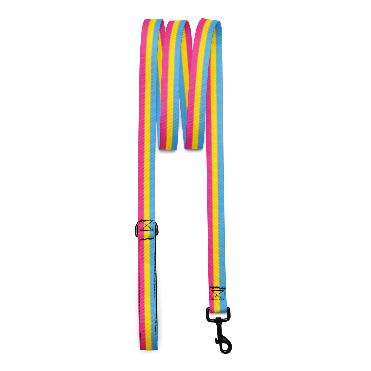 Pan Pride Flag Pet leash