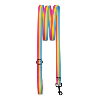 Pan Pride Flag Pet leash