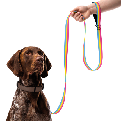 Pan Pride Flag Pet leash