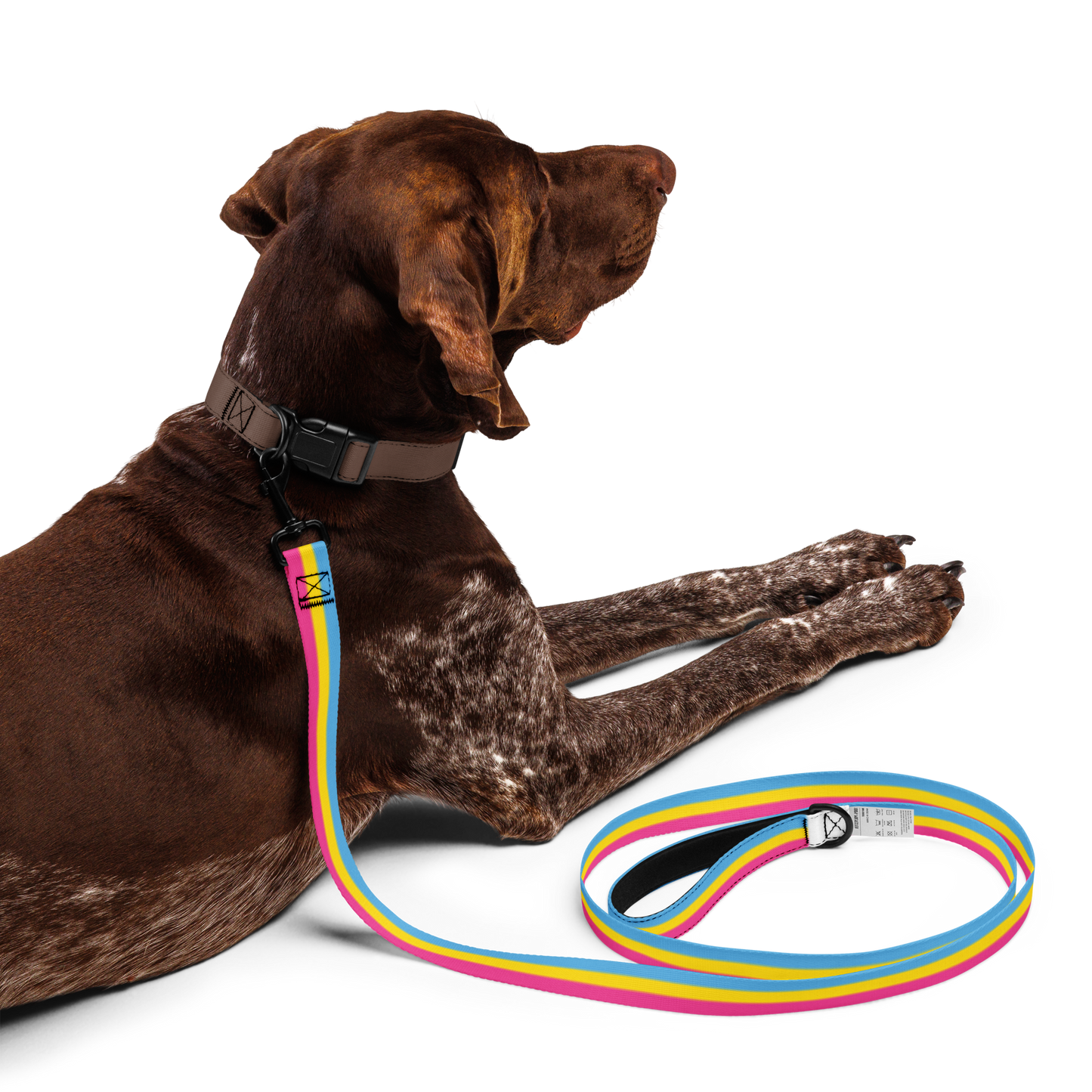 Pan Pride Flag Pet leash