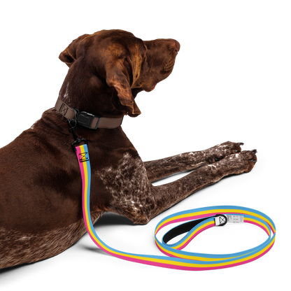 Pan Pride Flag Pet leash