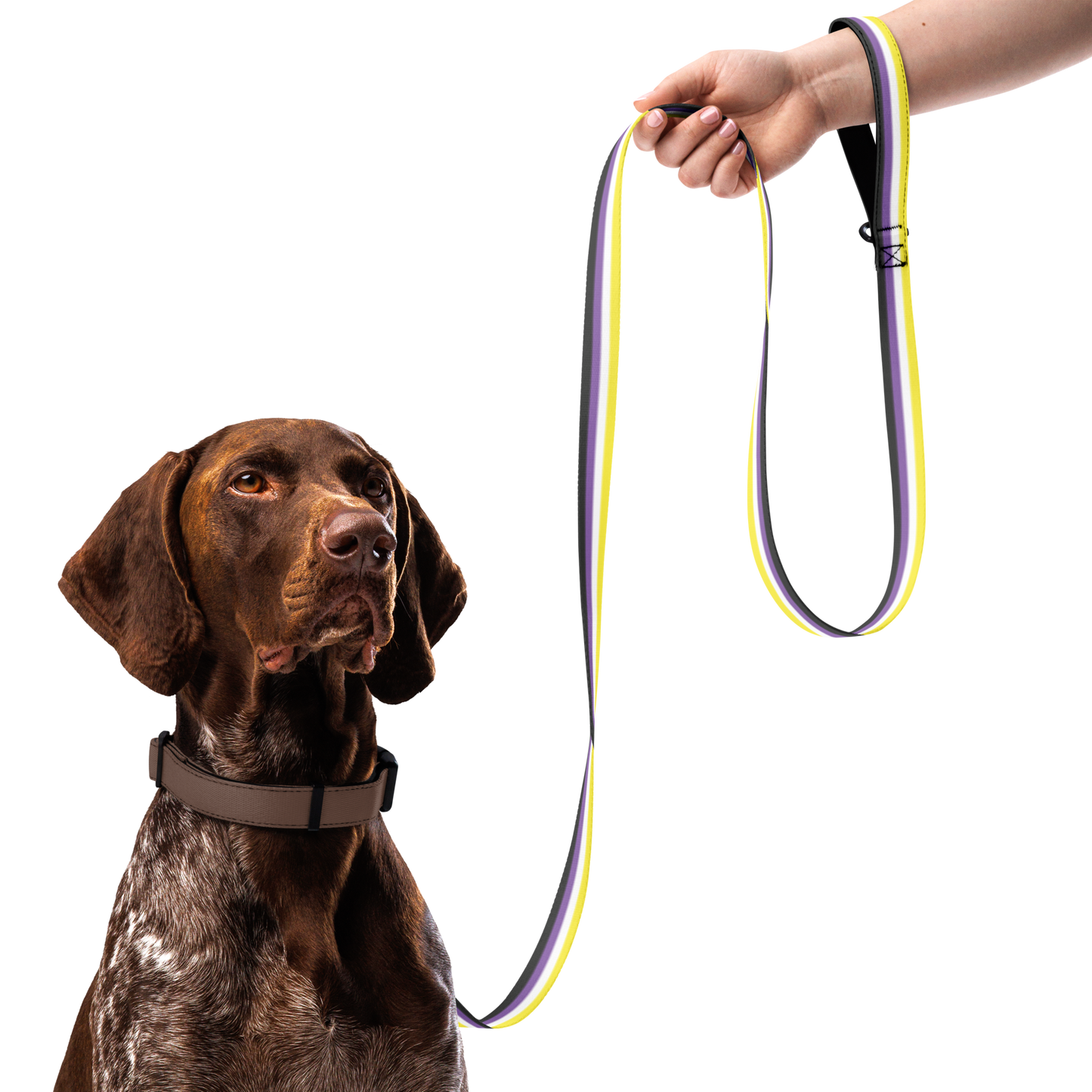 Enby Pride Flag Pet leash