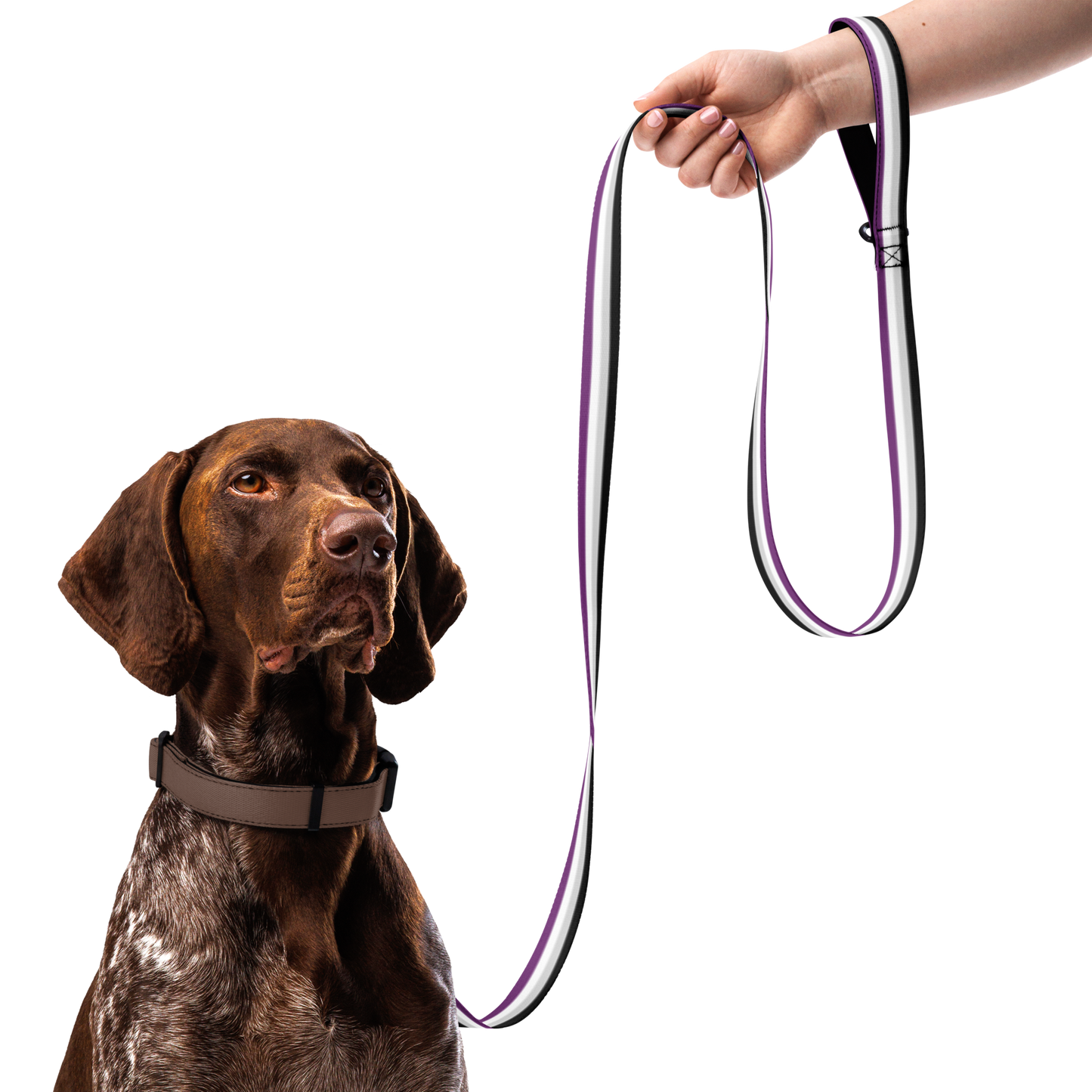 Ace Pride Flag Pet leash