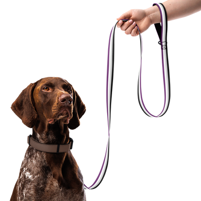 Ace Pride Flag Pet leash