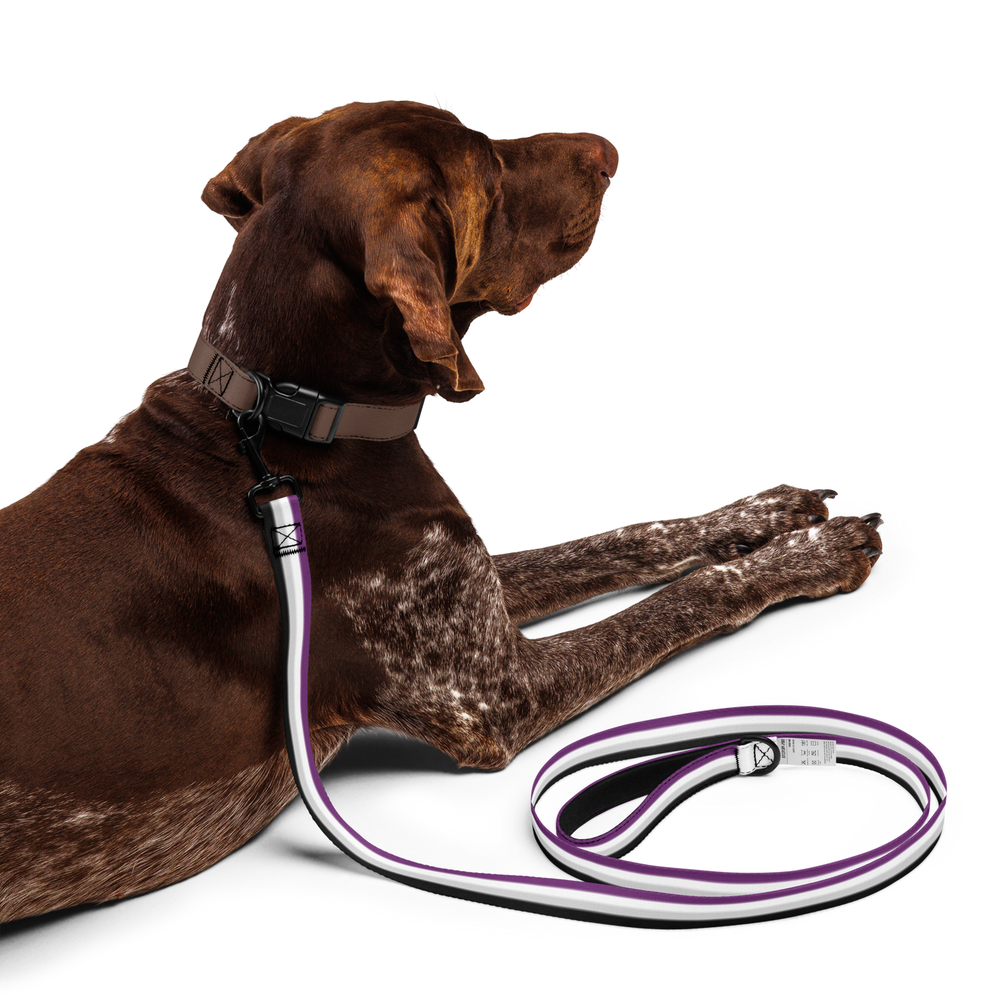 Ace Pride Flag Pet leash