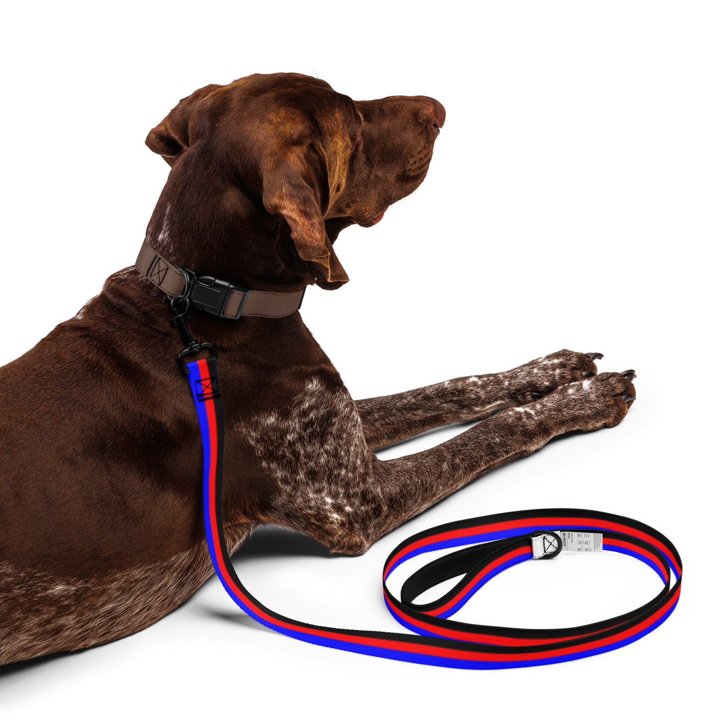 Poly Pride Flag Pet leash