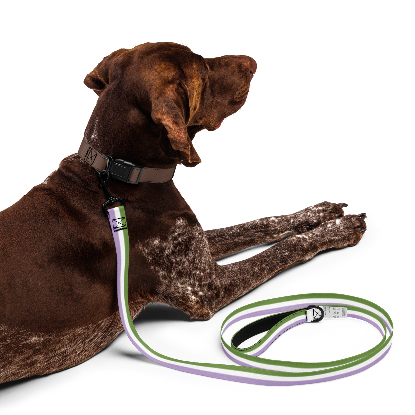 Genderqueer Pride Flag Pet leash