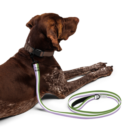 Genderqueer Pride Flag Pet leash