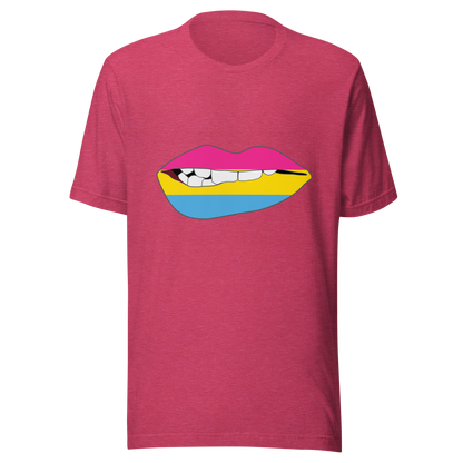 Biting Lips - Pansexual Flag Unisex t-shirt