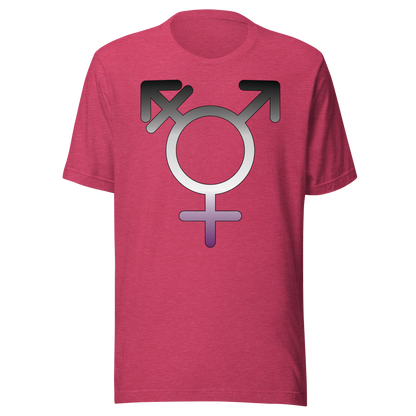 Transgender Symbol - Asexual/Demisexual Pride Unisex t-shirt