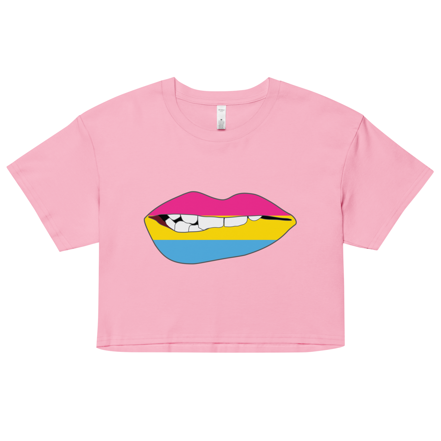 Biting Lips - Pansexual Flag Women’s crop top