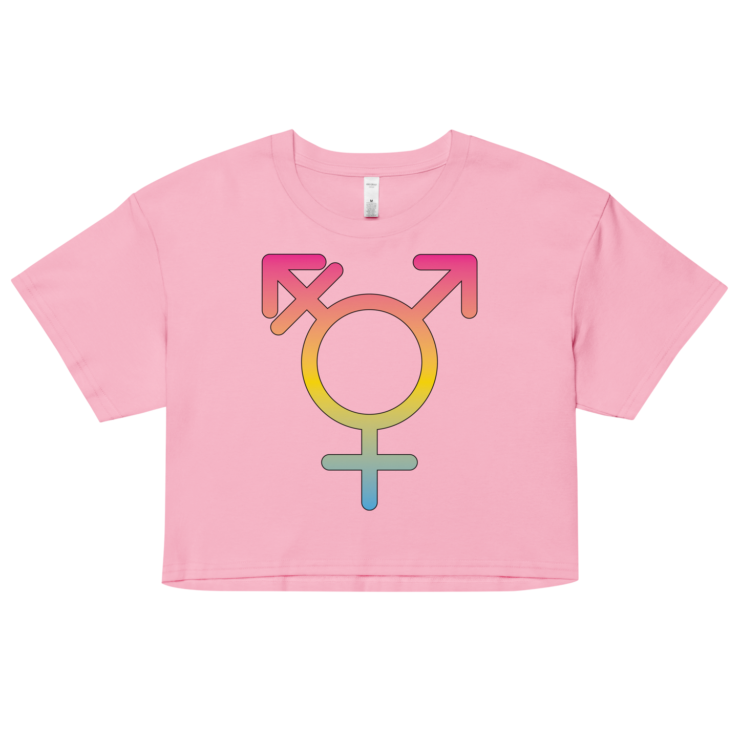 Transgender Symbol - Pansexual Pride Women’s crop top