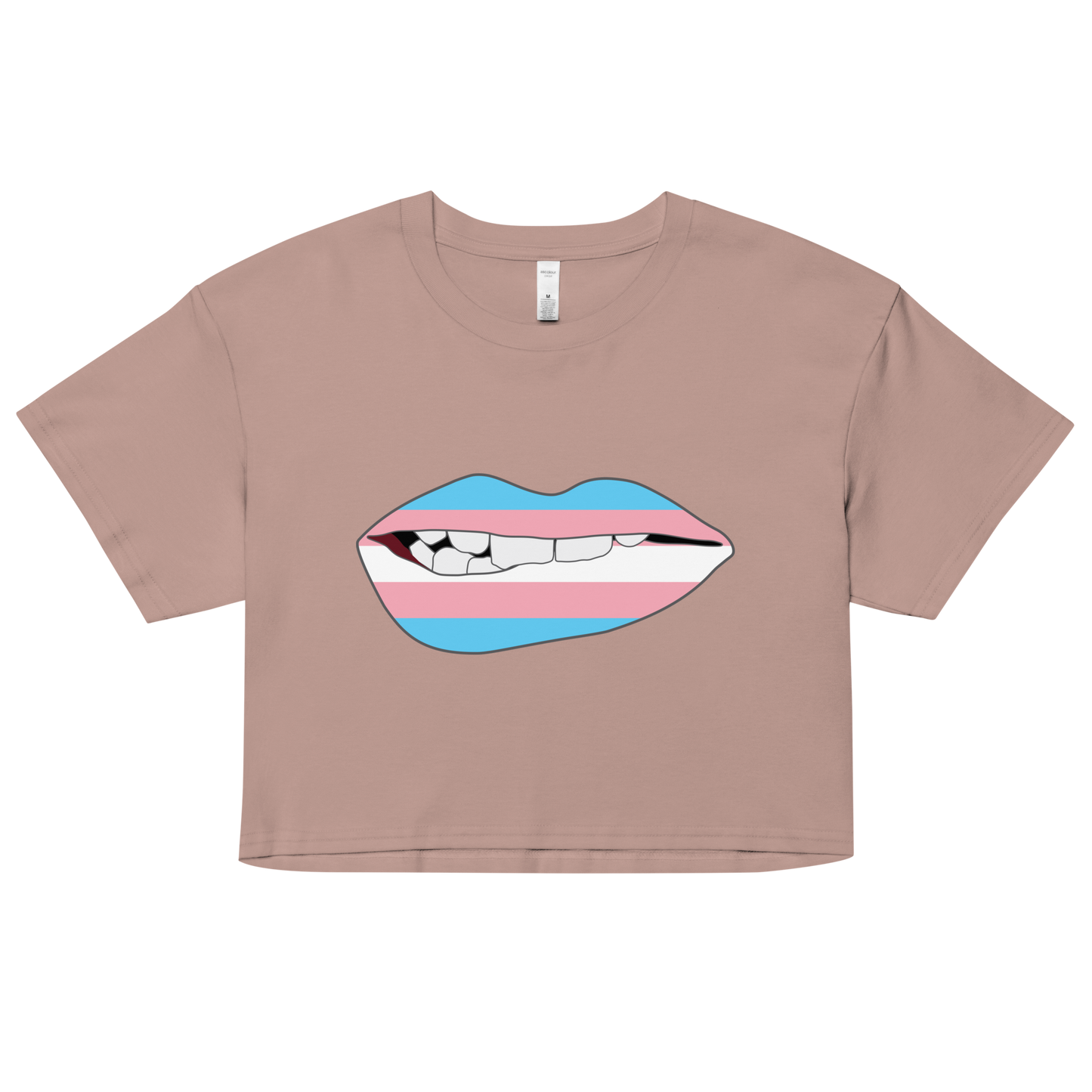 Biting Lips - Transgender Flag Women’s crop top