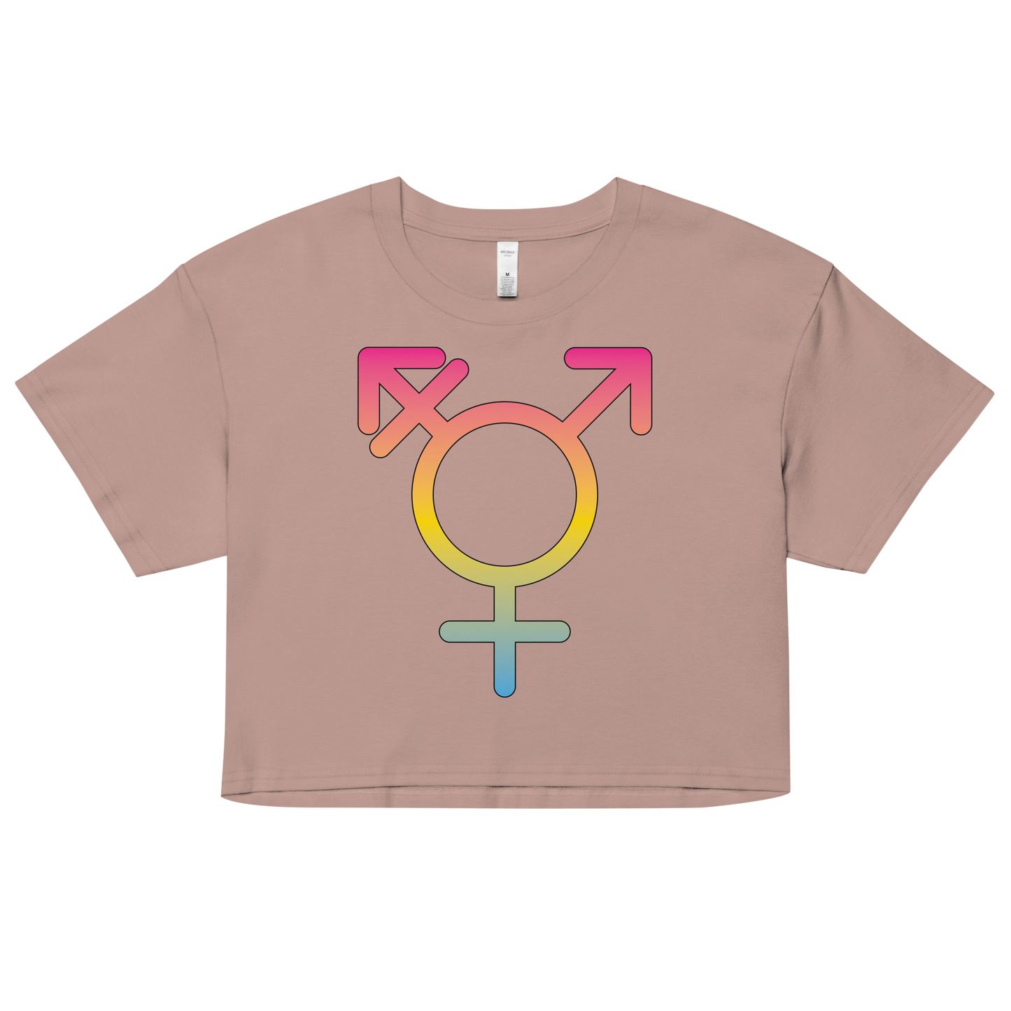 Transgender Symbol - Pansexual Pride Women’s crop top