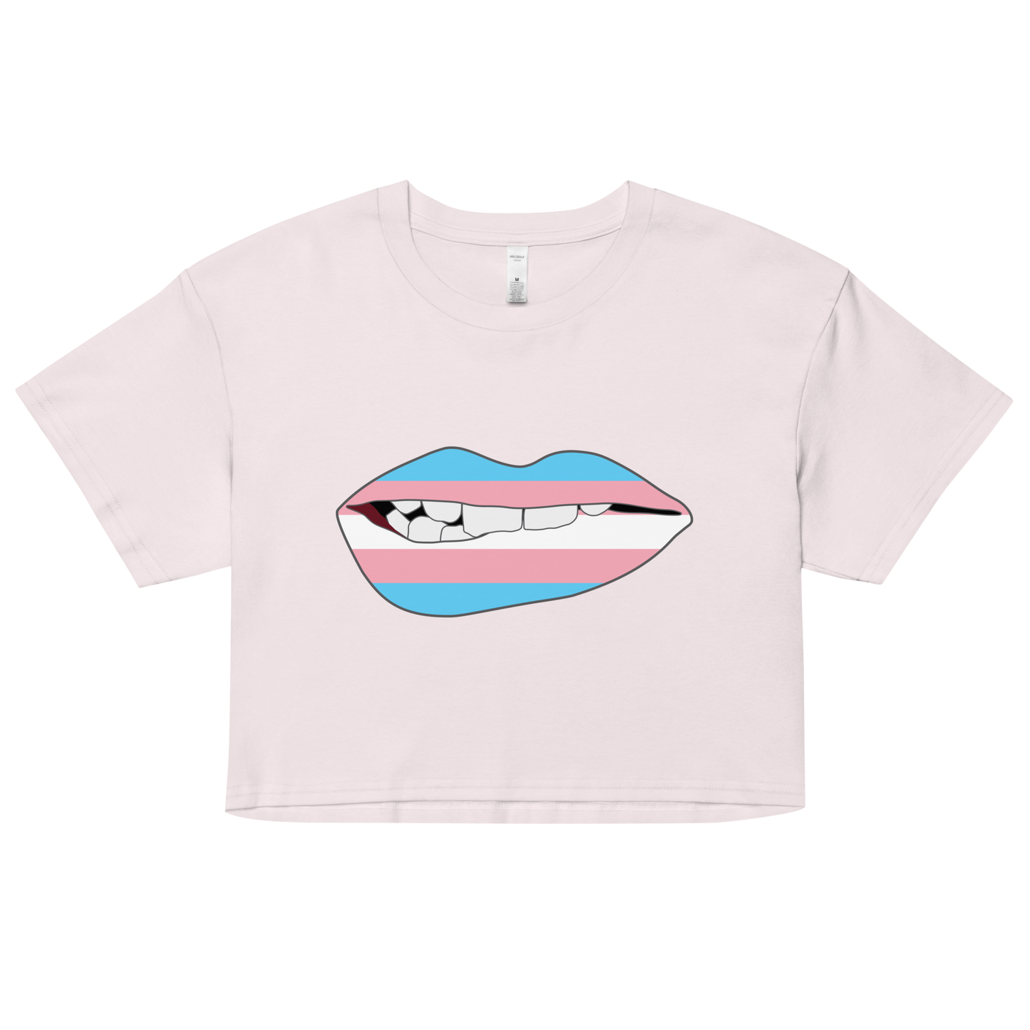 Biting Lips - Transgender Flag Women’s crop top