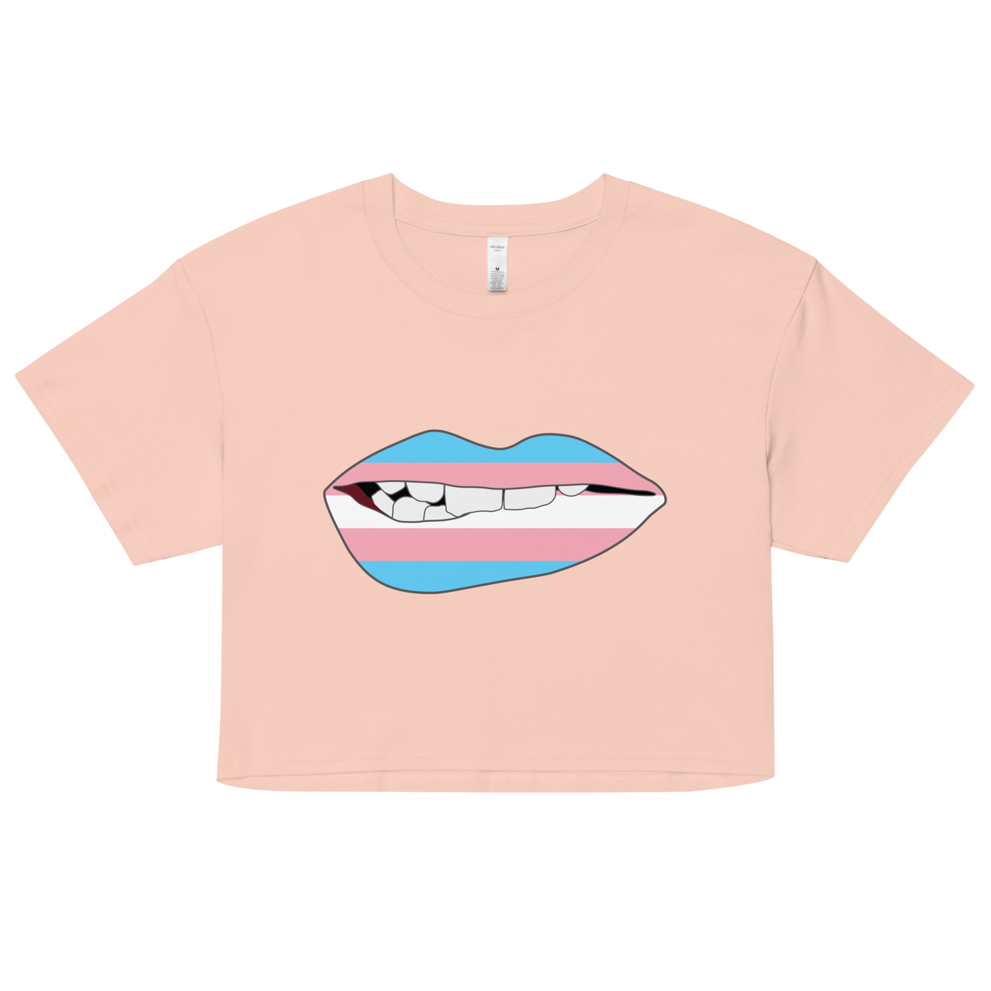 Biting Lips - Transgender Flag Women’s crop top