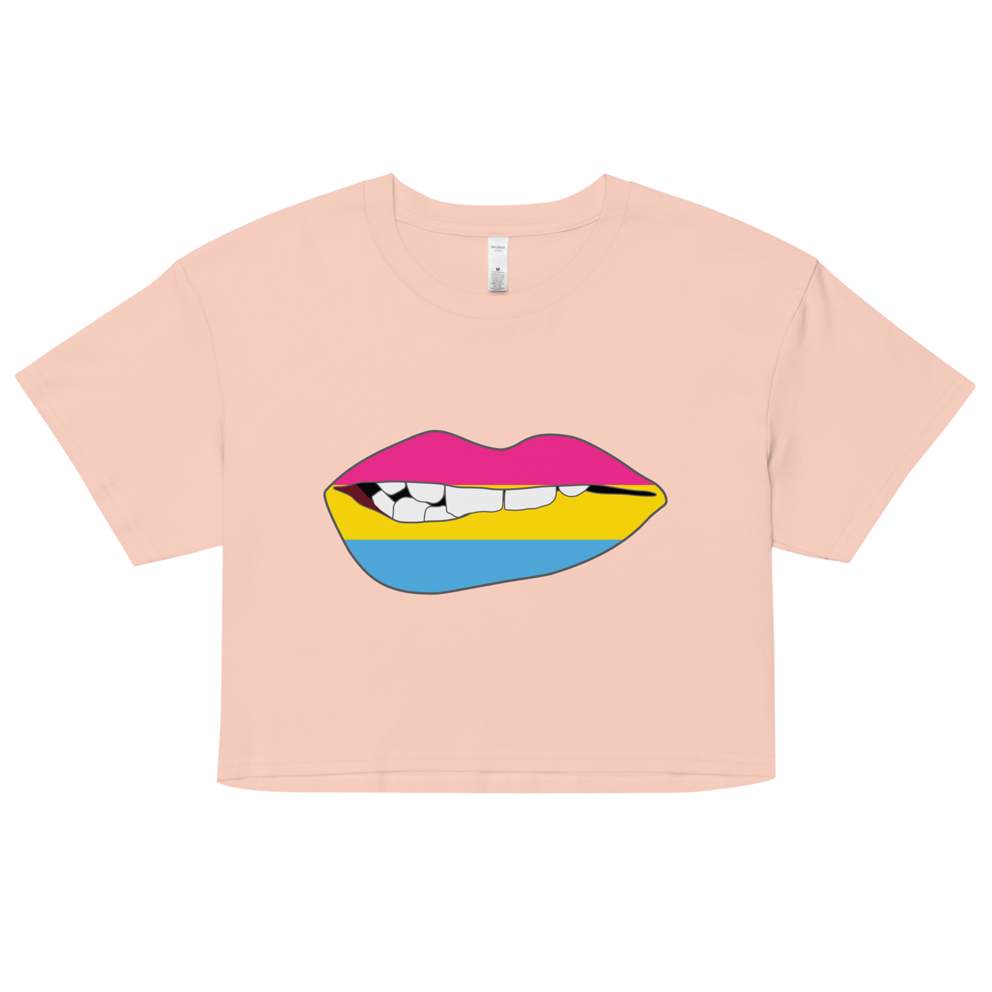 Biting Lips - Pansexual Flag Women’s crop top