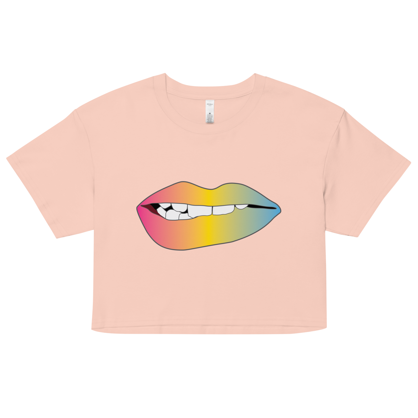 Biting Lips - Pansexual Pride - Gradient Women’s crop top