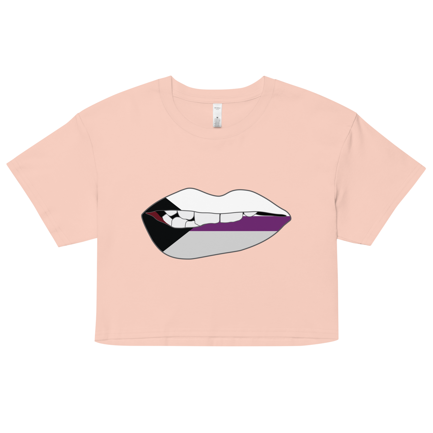 Biting Lips - Demisexual Flag Women’s crop top