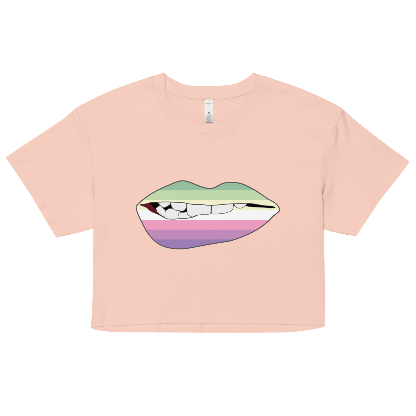 Biting Lips - Genderfae Flag Women’s crop top